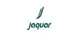 jaguar-desktop-1646230644-KpiIX